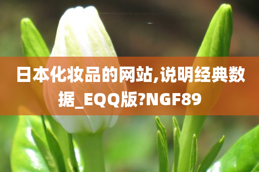 日本化妆品的网站,说明经典数据_EQQ版?NGF89