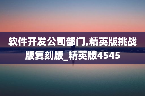 软件开发公司部门,精英版挑战版复刻版_精英版4545