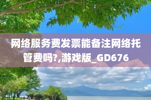 网络服务费发票能备注网络托管费吗?,游戏版_GD676