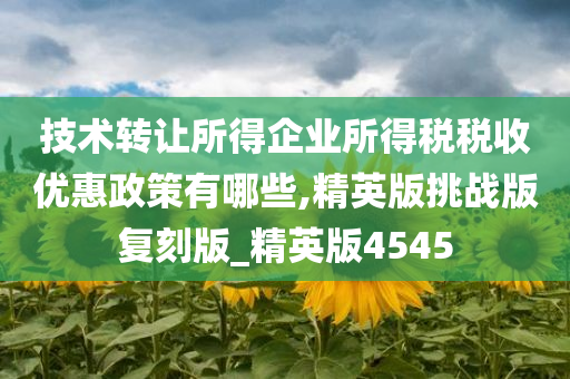 技术转让所得企业所得税税收优惠政策有哪些,精英版挑战版复刻版_精英版4545