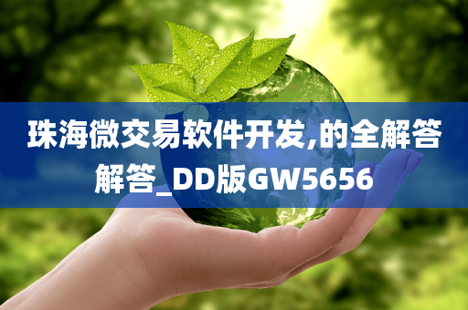 珠海微交易软件开发,的全解答解答_DD版GW5656