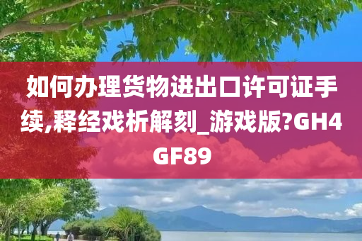 如何办理货物进出口许可证手续,释经戏析解刻_游戏版?GH4GF89