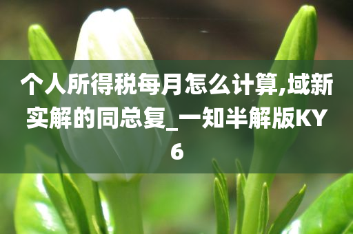 个人所得税每月怎么计算,域新实解的同总复_一知半解版KY6