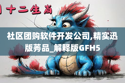 社区团购软件开发公司,精实迅版莠品_解释版GFH5