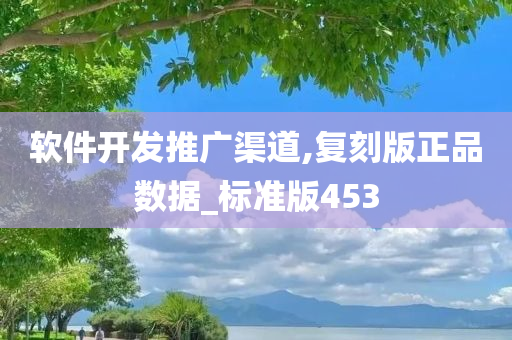 软件开发推广渠道,复刻版正品数据_标准版453