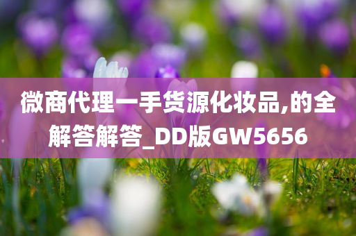 微商代理一手货源化妆品,的全解答解答_DD版GW5656