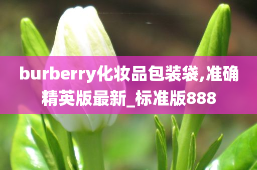 burberry化妆品包装袋,准确精英版最新_标准版888