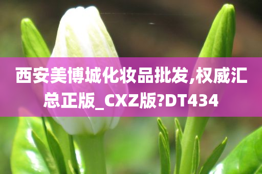 西安美博城化妆品批发,权威汇总正版_CXZ版?DT434