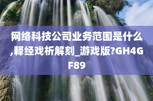 网络科技公司业务范围是什么,释经戏析解刻_游戏版?GH4GF89