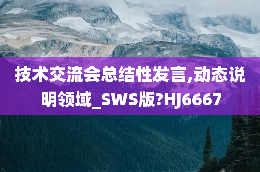 技术交流会总结性发言,动态说明领域_SWS版?HJ6667