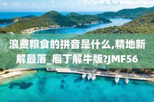 浪费粮食的拼音是什么,精地新解最落_庖丁解牛版?JMF56