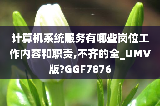 计算机系统服务有哪些岗位工作内容和职责,不齐的全_UMV版?GGF7876