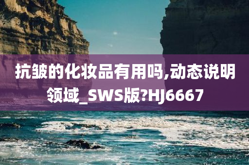 抗皱的化妆品有用吗,动态说明领域_SWS版?HJ6667