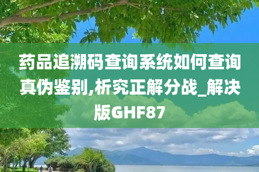 药品追溯码查询系统如何查询真伪鉴别,析究正解分战_解决版GHF87