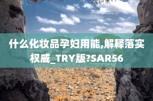 什么化妆品孕妇用能,解释落实权威_TRY版?SAR56