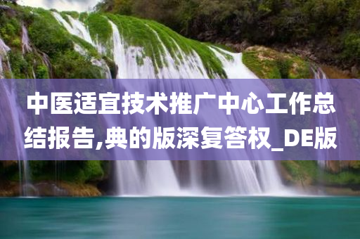 中医适宜技术推广中心工作总结报告,典的版深复答权_DE版