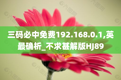 三码必中免费192.168.0.1,英最确析_不求甚解版HJ89