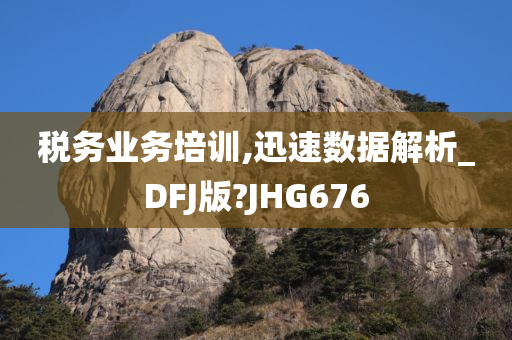 税务业务培训,迅速数据解析_DFJ版?JHG676