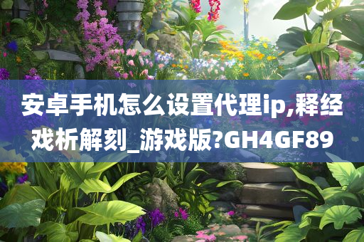 安卓手机怎么设置代理ip,释经戏析解刻_游戏版?GH4GF89