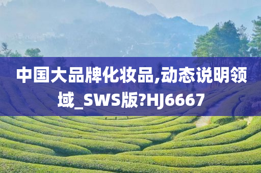 中国大品牌化妆品,动态说明领域_SWS版?HJ6667