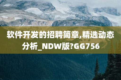 软件开发的招聘简章,精选动态分析_NDW版?GG756