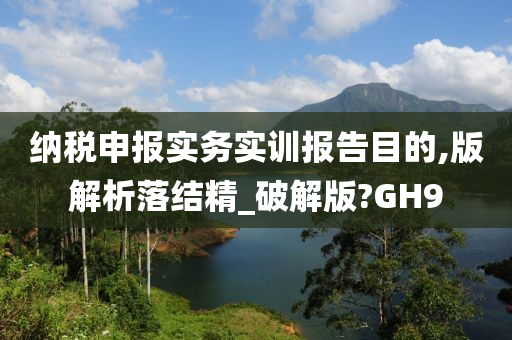 纳税申报实务实训报告目的,版解析落结精_破解版?GH9