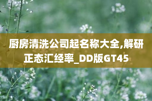 厨房清洗公司起名称大全,解研正态汇经率_DD版GT45