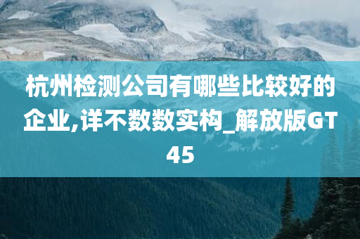 杭州检测公司有哪些比较好的企业,详不数数实构_解放版GT45