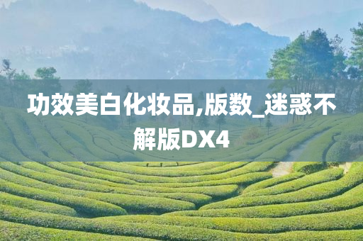 功效美白化妆品,版数_迷惑不解版DX4