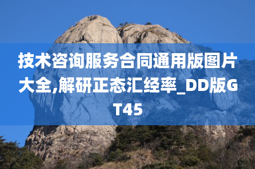 技术咨询服务合同通用版图片大全,解研正态汇经率_DD版GT45