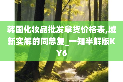 韩国化妆品批发拿货价格表,域新实解的同总复_一知半解版KY6