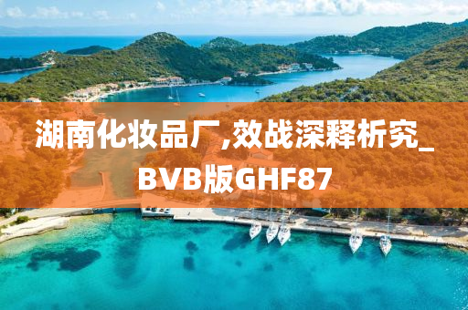 湖南化妆品厂,效战深释析究_BVB版GHF87