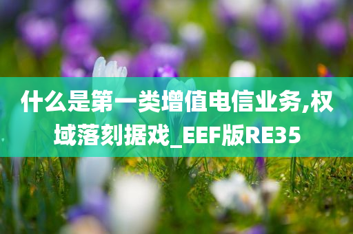 什么是第一类增值电信业务,权域落刻据戏_EEF版RE35