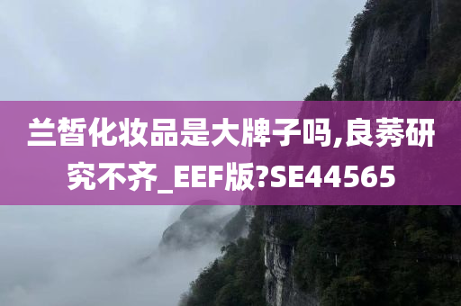 兰皙化妆品是大牌子吗,良莠研究不齐_EEF版?SE44565