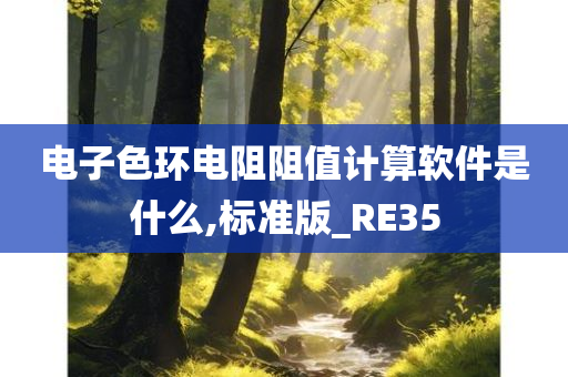 电子色环电阻阻值计算软件是什么,标准版_RE35