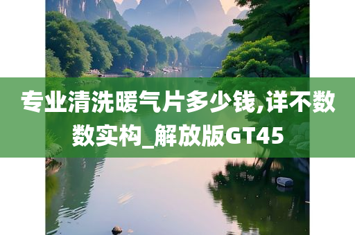 专业清洗暖气片多少钱,详不数数实构_解放版GT45