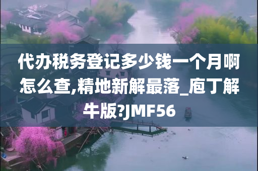 代办税务登记多少钱一个月啊怎么查,精地新解最落_庖丁解牛版?JMF56