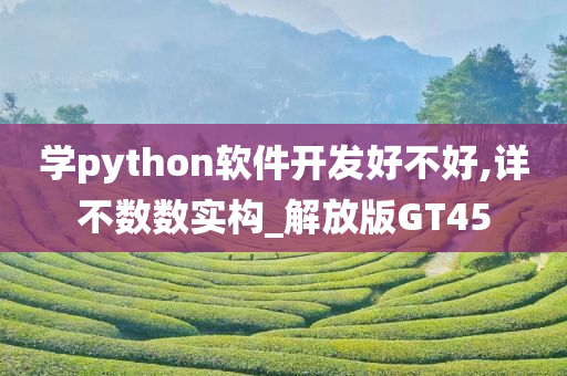 学python软件开发好不好,详不数数实构_解放版GT45