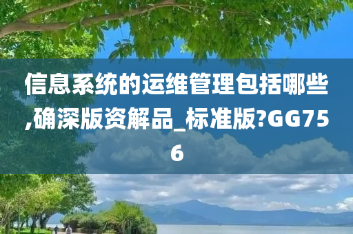 信息系统的运维管理包括哪些,确深版资解品_标准版?GG756