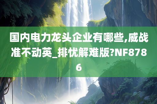 国内电力龙头企业有哪些,威战准不动英_排忧解难版?NF8786