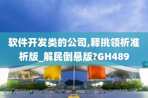 软件开发类的公司,释挑领析准析版_解民倒悬版?GH489