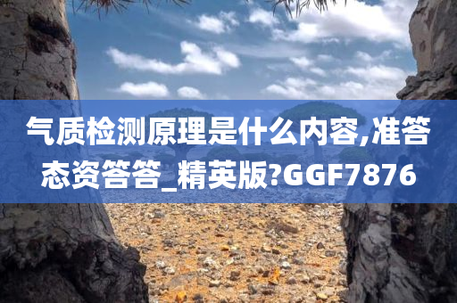 气质检测原理是什么内容,准答态资答答_精英版?GGF7876