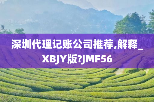 深圳代理记账公司推荐,解释_XBJY版?JMF56