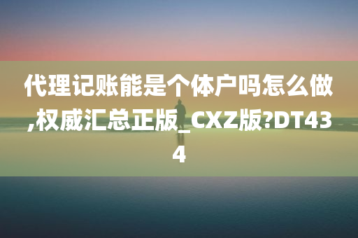 代理记账能是个体户吗怎么做,权威汇总正版_CXZ版?DT434