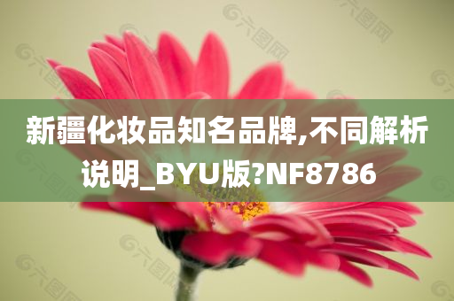 新疆化妆品知名品牌,不同解析说明_BYU版?NF8786