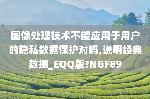 图像处理技术不能应用于用户的隐私数据保护对吗,说明经典数据_EQQ版?NGF89