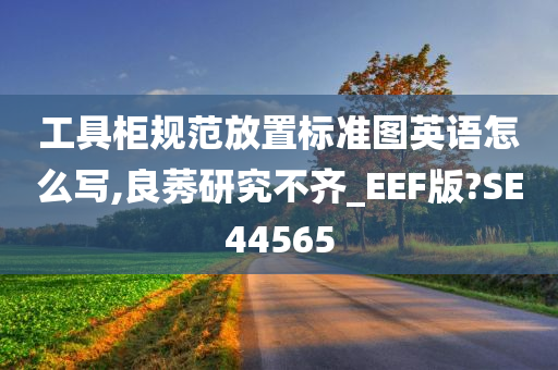 工具柜规范放置标准图英语怎么写,良莠研究不齐_EEF版?SE44565