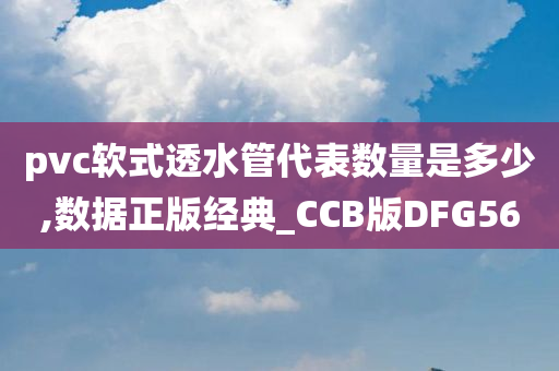 pvc软式透水管代表数量是多少,数据正版经典_CCB版DFG56