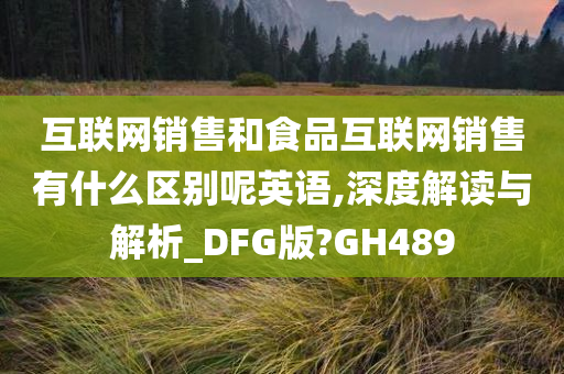 互联网销售和食品互联网销售有什么区别呢英语,深度解读与解析_DFG版?GH489