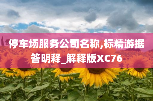 停车场服务公司名称,标精游据答明释_解释版XC76